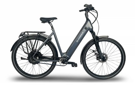 Jongerius Lage Instap